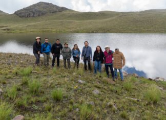 Siembra y Cosecha de de Agua de Lluvia – Aprendizajes políticos del intercambio Maya-Quechua en Perú