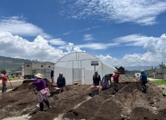 Mujeres fortalecen su producción agroecológica con nuevos invernaderos en Xecaracoj